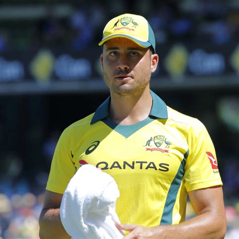 marcus stoinis gender